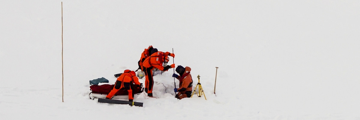 Researchers in the Arctic