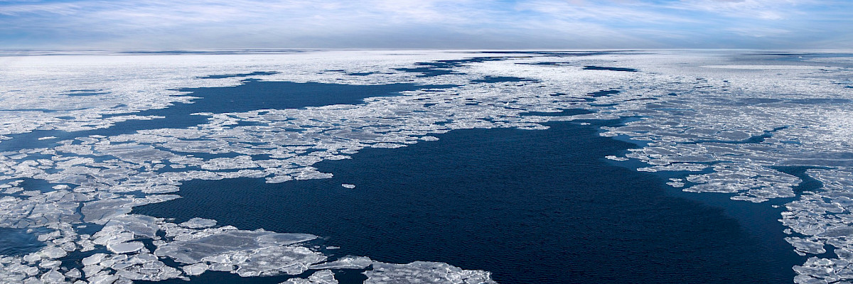 Sea ice
