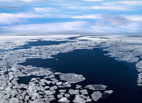 Sea ice