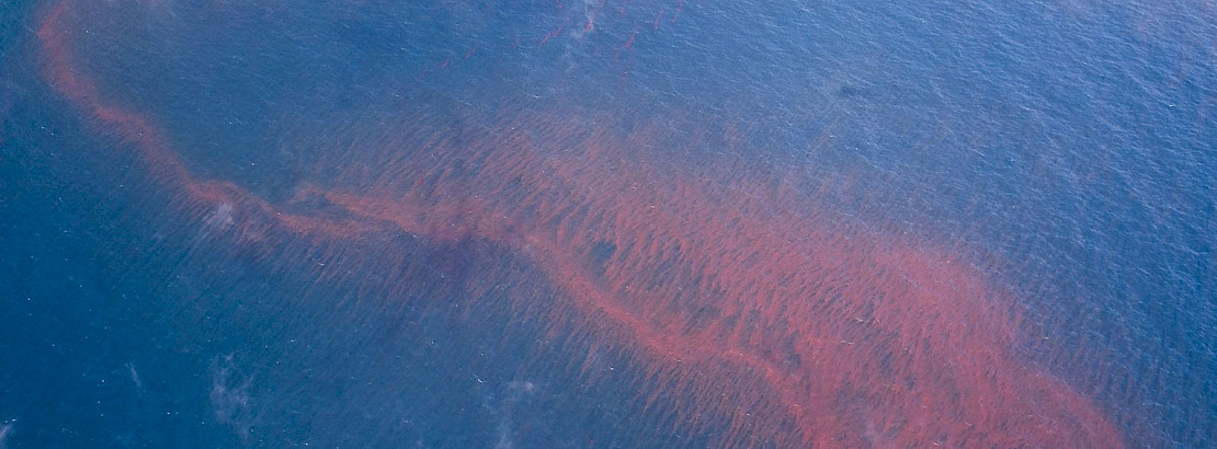 Oil spill on water