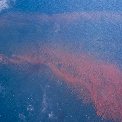 Oil spill on water