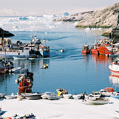 Fishing boats in Illulissat, Greenland