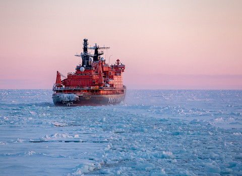 Photo: Ekaterina Ustinova