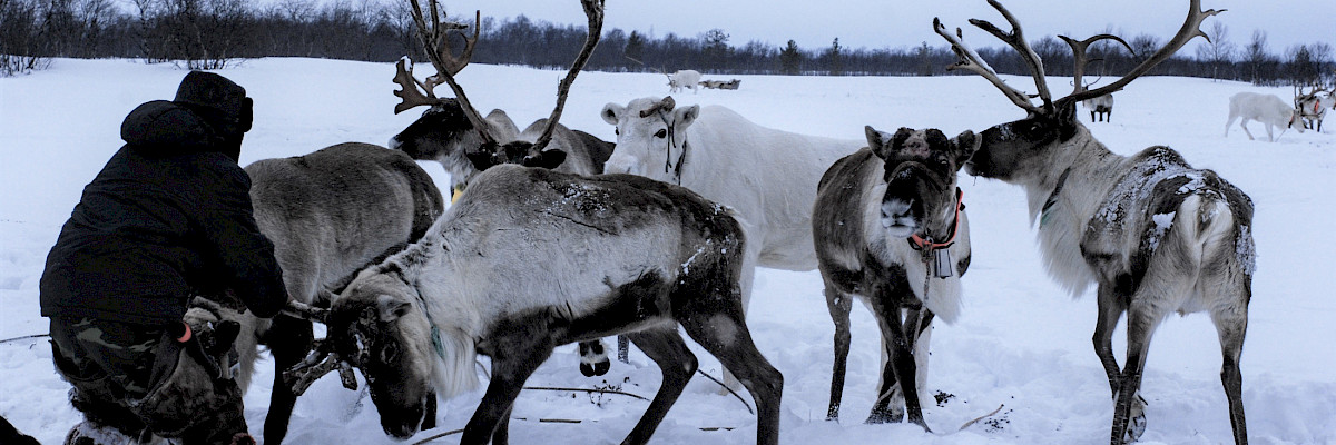 Photo: Patrick Huber